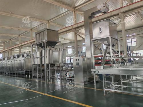 Perusahaan terbaru Solusi tentang Mesin Panggang dan Blanching Kacang 2000-3000kg/jam dikirim ke Mesir