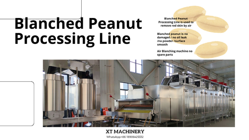 Latest company news about 5 tips untuk memilih lini pengolahan kacang putih kami