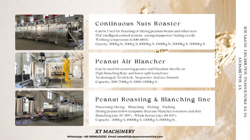 Latest company news about Revolusi Pengolahan Kacang Anda dengan XT MACHINERY's Advanced Kacang Panggang dan Blanching Line