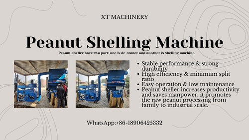 Latest company news about Perkenalan Mesin Pengelupasan Kacang