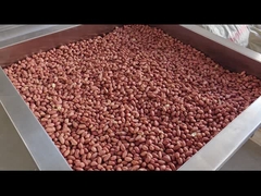 Pabrik pengolahan kacang putih/Menghilangkan kulit merah dengan udara