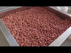 PLC Control Nuts Kontinyu Oven Nuts Kontinyu Roaster Dryer/Roaster