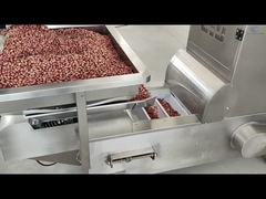 Konveyor Elevator Tipe Z