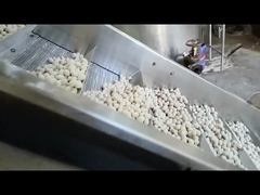 Mesin Penggorengan Kontinu