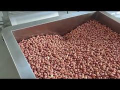 Jalur produksi kacang pucat