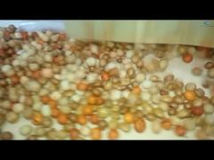 Lini Produksi Pelapisan dan Pemanggangan