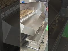 Kacang Hawaii kontinyu/oven kacang/pemanggang tipe sabuk besar/mesin pemanggang kacang otomatis penuh