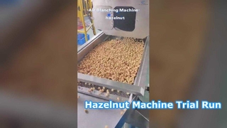 Video uji coba mesin hazelnut ada di sini! Pilihan sempurna untuk pabrik pengolahan makanan. #mesin