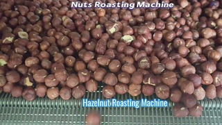 Video memanggang hazelnut ada di sini!!! Suhu dapat disesuaikan kapan saja#mesin #panggang