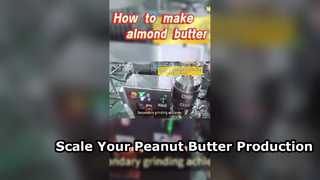 Ingin meningkatkan produksi selai kacang/pasta almond? Memilih peralatan yang tepat sangatlah penting.