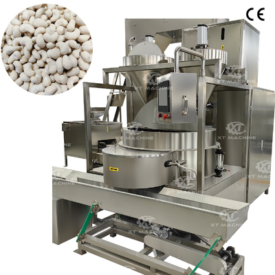 Harga yang bagus 250-300kg/jam Mesin Lapisan Kacang Kacang Mesin Lapisan Kacang on line