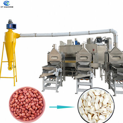 Harga yang bagus Kualitas tinggi 1000kg/h-2000kg/h SUS304 Mesin pemotong dan pemutih kacang untuk peralatan pengolahan kacang on line